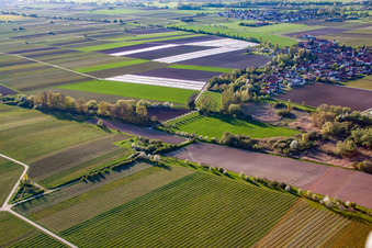 Vue oblique de Kleinfischlingen dans le département Rhénanie-Palatinat, Allemagne