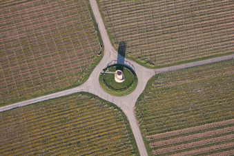 Vue aérienne de La tour du vigneron Houschder à le quartier Niederhochstadt in Hochstadt dans le département Rhénanie-Palatinat, Allemagne