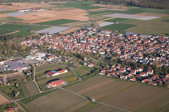 Vue d'oiseau de Quartier Niederhochstadt in Hochstadt dans le département Rhénanie-Palatinat, Allemagne