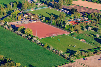 Vue aérienne de Terrains de football du TB Jahn Zeiskam 1896 ev à Zeiskam dans le département Rhénanie-Palatinat, Allemagne