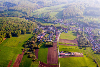 Vue aérienne de Champs agricoles et terres agricoles à Langensoultzbach dans le département Bas Rhin, France
