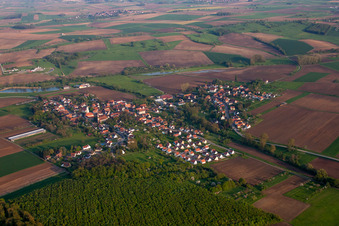 Vue aérienne de Champs agricoles et terres agricoles à Kutzenhausen dans le département Bas Rhin, France