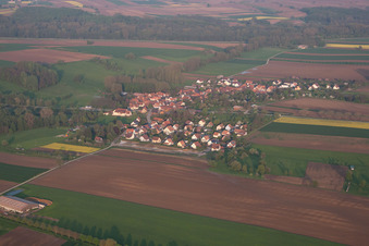 Vue aérienne de Champs agricoles et terres agricoles à Ingolsheim dans le département Bas Rhin, France