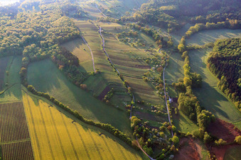 Vue aérienne de Vignobles du Kraichgau à l'Efeldrichwald à Sulzfeld dans le département Bade-Wurtemberg, Allemagne