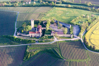Forteresse de Ravensbourg avec restaurant-château sur une colline avec des vignobles à Sulzfeld dans le département Bade-Wurtemberg, Allemagne hors des airs