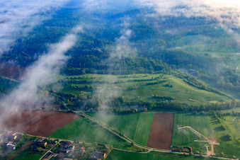 Bad Rappenau/Zimmerhof