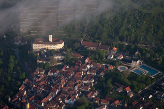 Vue aérienne de Le château d'Horneck dans la brume matinale à le quartier Michaelsberg in Gundelsheim dans le département Bade-Wurtemberg, Allemagne