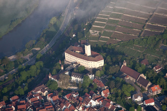 Photographie aérienne de Le château d'Horneck dans la brume matinale à le quartier Michaelsberg in Gundelsheim dans le département Bade-Wurtemberg, Allemagne