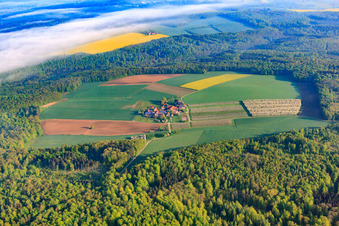 Vue aérienne de Ferme d'une ferme Dornbacher Hof - Scheuerle dans une clairière forestière avec des champs à le quartier Tiefenbach in Gundelsheim dans le département Bade-Wurtemberg, Allemagne