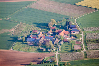 Vue aérienne de Restaurant de campagne Schäfer à le quartier Michaelsberg in Gundelsheim dans le département Bade-Wurtemberg, Allemagne