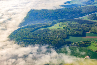 Vue aérienne de Brouillard dans la vallée de la Tauber à Tauberbischofsheim dans le département Bade-Wurtemberg, Allemagne