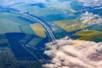 Vue aérienne de Brouillard dans le Taubertal au-dessus de l'A81 à Lauswinel à le quartier Distelhausen in Tauberbischofsheim dans le département Bade-Wurtemberg, Allemagne