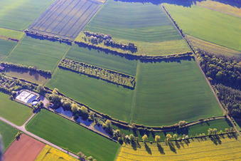 Vue aérienne de Étang à poissons à Grundgraben à Kleinrinderfeld dans le département Bavière, Allemagne