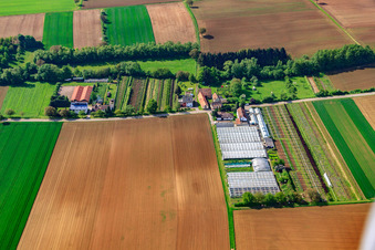 Vue aérienne de Pépinière avec serres à Otterbach à Vollmersweiler dans le département Rhénanie-Palatinat, Allemagne