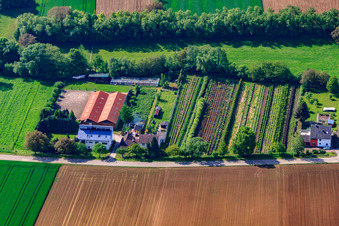 Photographie aérienne de Pépinière avec serres à Otterbach à Vollmersweiler dans le département Rhénanie-Palatinat, Allemagne