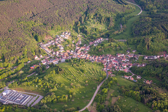 Vue aérienne de Lieu dans la forêt du Palatinat vu du nord à Schwanheim dans le département Rhénanie-Palatinat, Allemagne