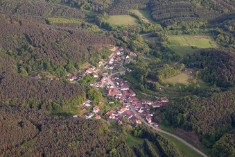 Vue aérienne de Lieu dans la forêt du Palatinat vu du nord à Darstein dans le département Rhénanie-Palatinat, Allemagne