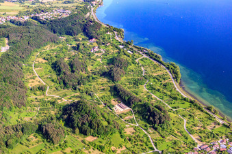 Vue aérienne de Burghalde, ruines du château de Hüneberg et vergers autour des Sept Churfirsten à Sipplingen dans le département Bade-Wurtemberg, Allemagne