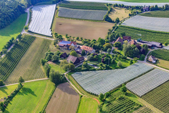 Vue aérienne de Gailhöfe à le quartier Altheim in Frickingen dans le département Bade-Wurtemberg, Allemagne