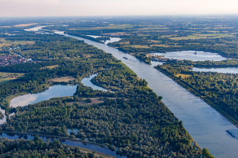 Vue aérienne de Illingen à le quartier Plittersdorf in Rastatt dans le département Bade-Wurtemberg, Allemagne