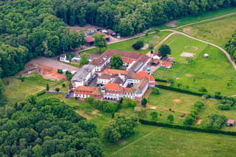 Vue oblique de Pension pour chevaux au monastère de Liebfrauenberg à Bad Bergzabern dans le département Rhénanie-Palatinat, Allemagne