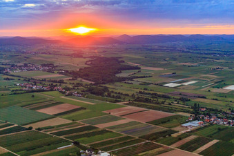 Vue aérienne de Coucher de soleil sur le Horbachtal / Billigheimer Bruch à Barbelroth dans le département Rhénanie-Palatinat, Allemagne