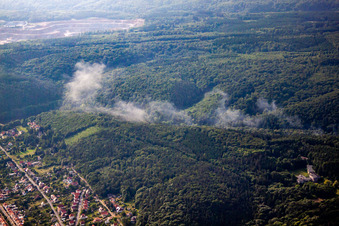 Vue aérienne de Quartier Gernrode in Quedlinburg dans le département Saxe-Anhalt, Allemagne