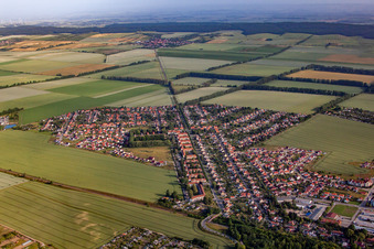Vue aérienne de Cité-jardin à Halberstadt dans le département Saxe-Anhalt, Allemagne