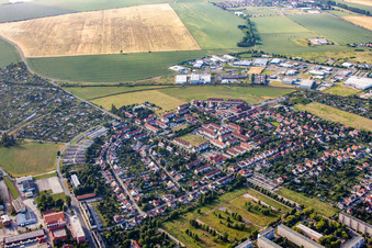Vue aérienne de Rue Wilhelm-Trautewein à Halberstadt dans le département Saxe-Anhalt, Allemagne