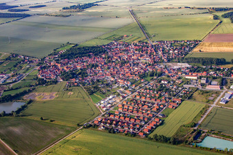 Vue aérienne de Champs agricoles et terres agricoles à Harsleben dans le département Saxe-Anhalt, Allemagne