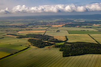 Vue aérienne de Heidberge à Quedlinburg dans le département Saxe-Anhalt, Allemagne