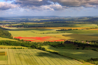 Vue aérienne de Coquelicots dans les champs de céréales à Ballenstedt dans le département Saxe-Anhalt, Allemagne
