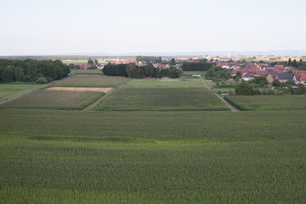 Schleithal dans le département Bas Rhin, France vu d'un drone