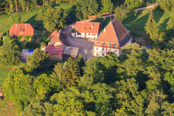 Vue aérienne de Moulin à grains Bienwaldmühle sur la Lauter à Scheibenhardt dans le département Rhénanie-Palatinat, Allemagne