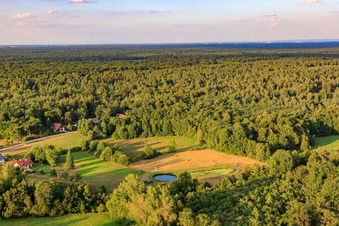 Vue aérienne de Clairières de prairies près de Bienwaldmühle à Scheibenhardt dans le département Rhénanie-Palatinat, Allemagne
