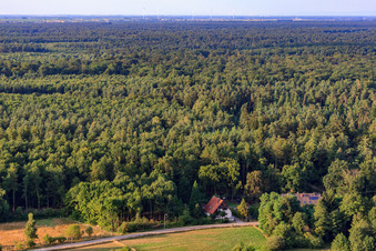 Maison en bordure de forêt dans le quartier de Bienwaldmühle à Scheibenhardt dans le département Rhénanie-Palatinat, Allemagne d'en haut
