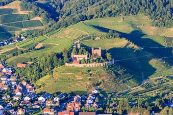 Vue aérienne de Auberge de jeunesse DJH Château Ortenberg entre vignes à Ortenberg dans le département Bade-Wurtemberg, Allemagne