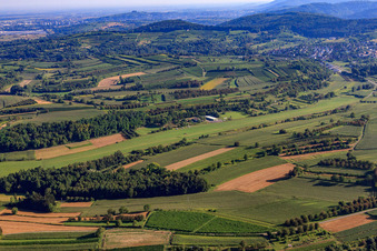 Vue aérienne de Aérodrome de vol à voile d'Altdorf-Wallburg à le quartier Wallburg in Ettenheim dans le département Bade-Wurtemberg, Allemagne