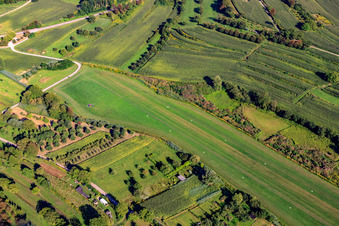 Aérodrome de vol à voile d'Altdorf-Wallburg à le quartier Wallburg in Ettenheim dans le département Bade-Wurtemberg, Allemagne d'en haut
