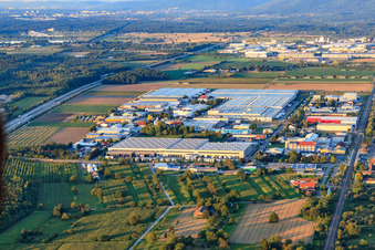 Vue aérienne de Zone industrielle de Heinkelstraße avec IHLE tires GmbH - grossiste en pneus, Prologis Germany Management GmbH et Rhenus Logistics à Muggensturm dans le département Bade-Wurtemberg, Allemagne