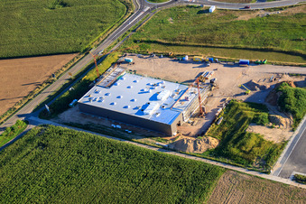 Vue oblique de Nouveau bâtiment pour TRANSAC International Speditionsgesellschaft mbH à Rülzheim dans le département Rhénanie-Palatinat, Allemagne