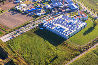 DBK David + Baader GmbH à Rülzheim dans le département Rhénanie-Palatinat, Allemagne vue du ciel