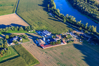 Vue aérienne de Wendelinushof avec Richard Jungkind Recyclage du compost et des copeaux au Rußheimer Altrhein à le quartier Rheinsheim in Philippsburg dans le département Bade-Wurtemberg, Allemagne