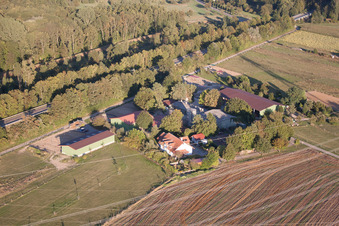 Vue aérienne de Pension pour chevaux Brecht à le quartier Huttenheim in Philippsburg dans le département Bade-Wurtemberg, Allemagne