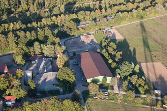 Vue aérienne de Pension pour chevaux Brecht à le quartier Huttenheim in Philippsburg dans le département Bade-Wurtemberg, Allemagne
