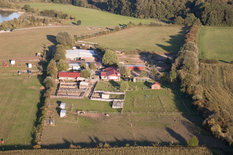 Vue aérienne de Ferme des cigognes à le quartier Rußheim in Dettenheim dans le département Bade-Wurtemberg, Allemagne