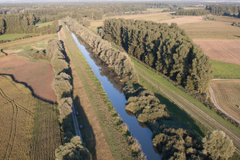 Vue aérienne de Parcours du canal et zones riveraines de la voie navigable du canal de Saalbach à le quartier Rußheim in Dettenheim dans le département Bade-Wurtemberg, Allemagne