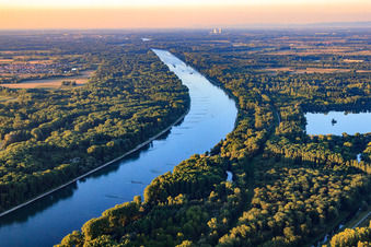 Vue aérienne de Lac de carrière Schmugglermeer dans les prairies du Rhin sur le Rhin à le quartier Leopoldshafen in Eggenstein-Leopoldshafen dans le département Bade-Wurtemberg, Allemagne