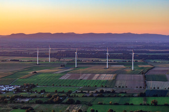 Photographie aérienne de Parc éolien Minfeld depuis le sud à Minfeld dans le département Rhénanie-Palatinat, Allemagne