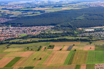 Vue aérienne de La ferme d'autruches de Mhou au centre de loisirs à Rülzheim dans le département Rhénanie-Palatinat, Allemagne